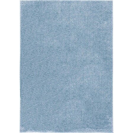 Safavieh 5 x 7 ft. Tahoe Shag Contemporary Rectangle Area Rug, Blue THO670M-5